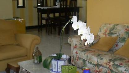 Casa para alugar em B&uacute;zios