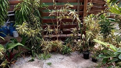 Quarto de H&oacute;spedes para alugar em Arraial Do Cabo