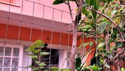 Casa para alugar em Rio De Janeiro