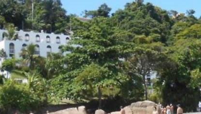 Apartamento para alugar em Ubatuba