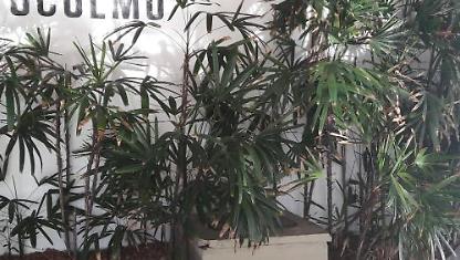 Apartamento para alugar em Cabo Frio